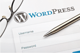 Hosted Wordpress Website
